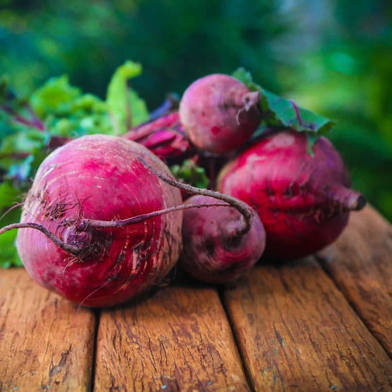 Rote Rüben | Kiloware