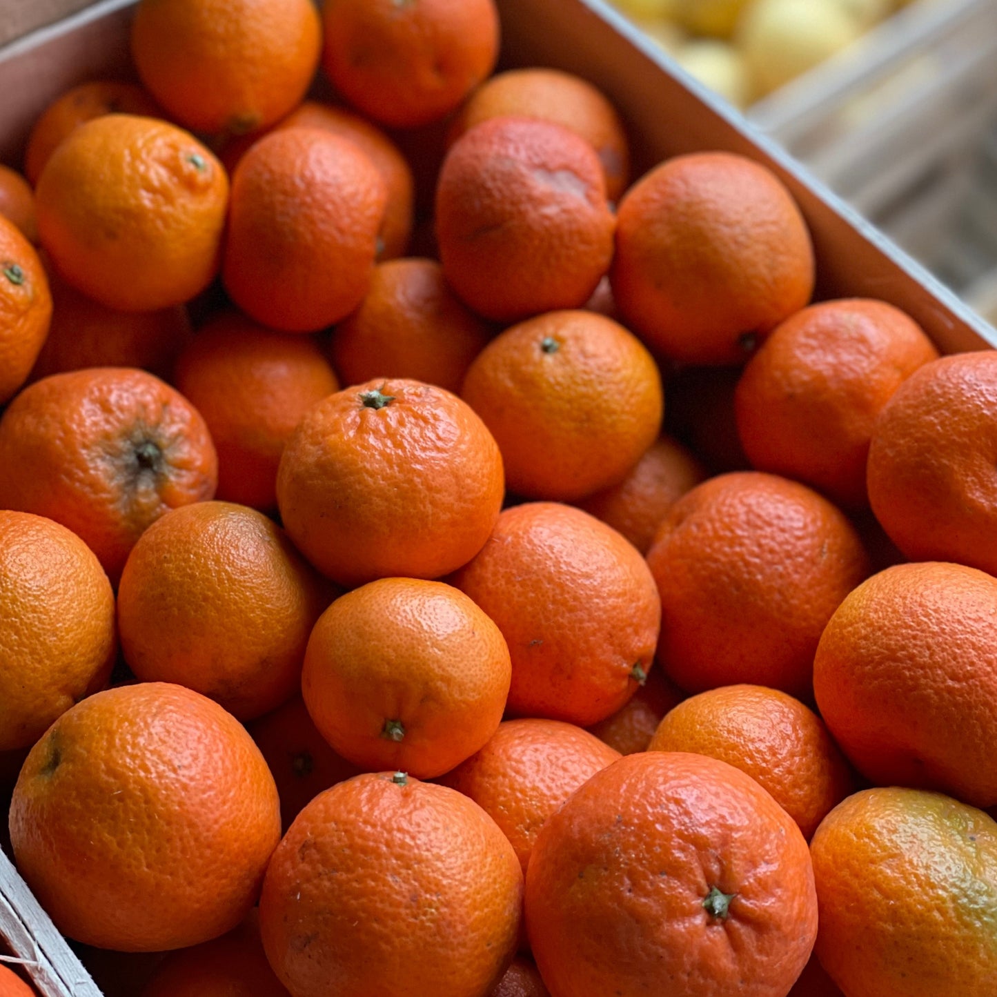 Klementinen | 10kg Kiste