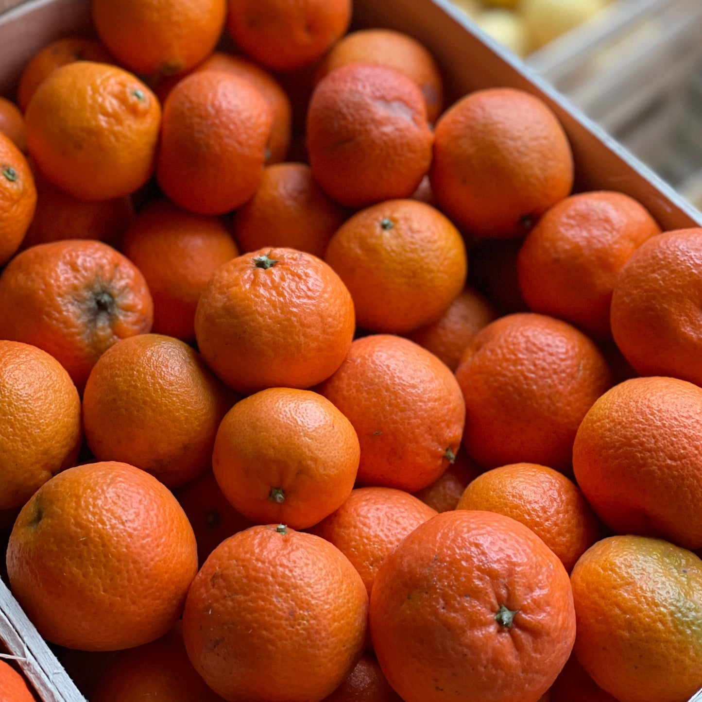 Klementinen | Kiloware