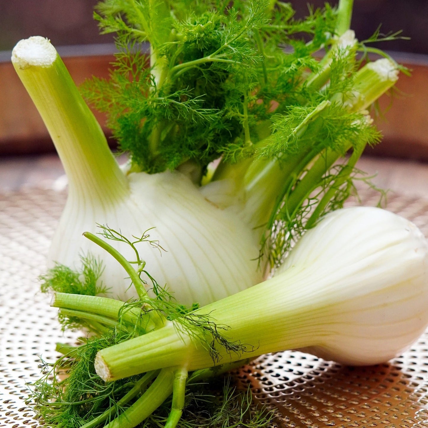 Fenchel | 6kg Kiste