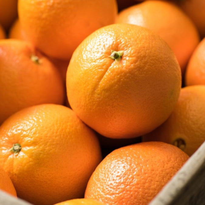 Orange Navel | Kiloware