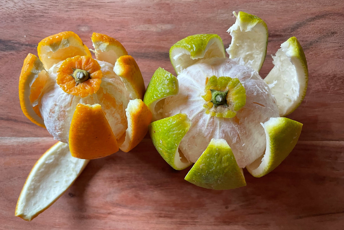 Die Farbe des Novembers ist grün