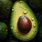 Avocado | Kiloware