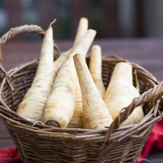 Pastinaken | Kiloware