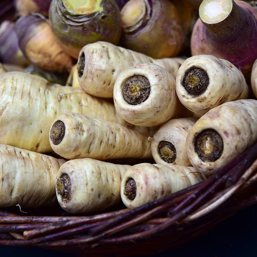 Petersilienwurzel | Kiloware