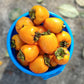 Sharonfrucht | 4kg Kiste