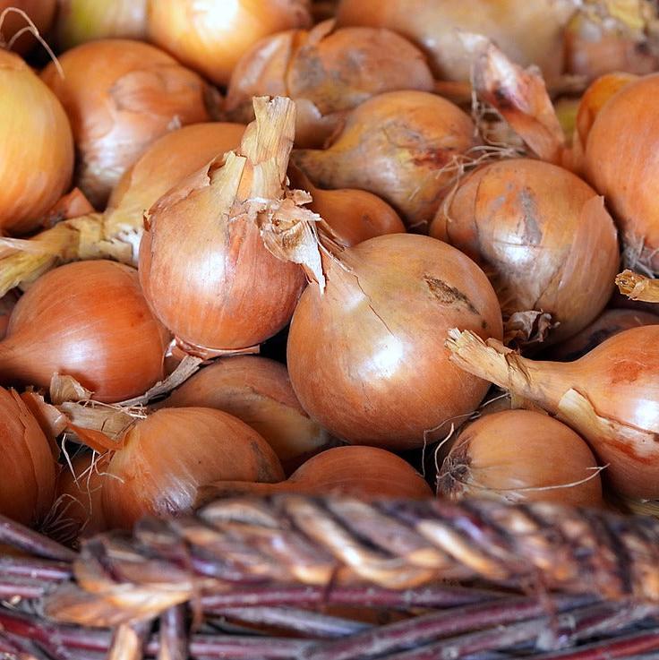 Zwiebeln | Kiloware