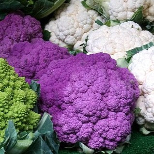 Blumenkohl | 8kg Kiste