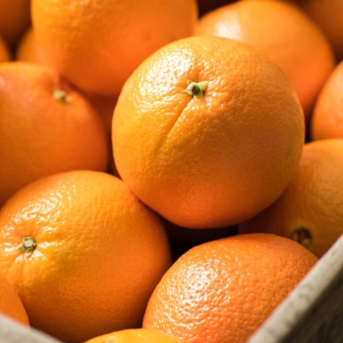 Orange Navel | 12kg Kiste