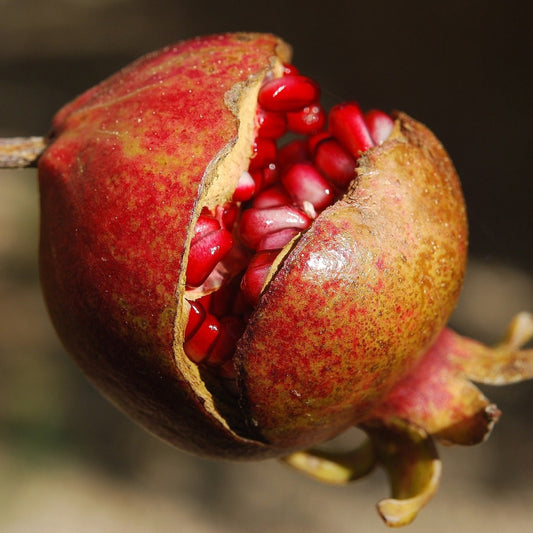 Granatäpfel | 6kg Kiste