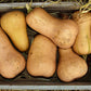 Kürbis Butternut | Halbe Kiste (2kg)